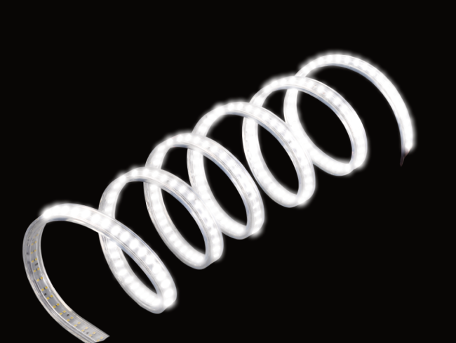 Fortec Rope Light LED Lichtschlauch 10 Meter